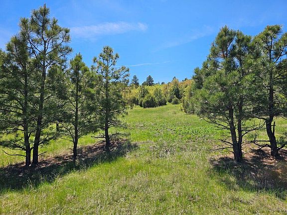 3rd image of Alpine Meadows Dr #F42