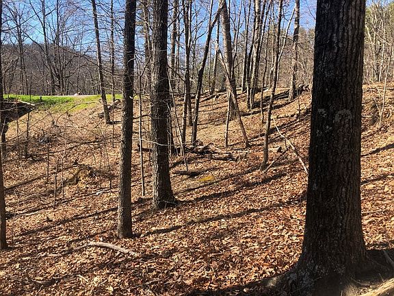 5th image of 49 Magnolia Ct Lot 49