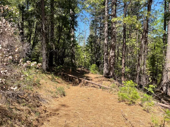 Iowa Hill Rd, Colfax, CA 95713