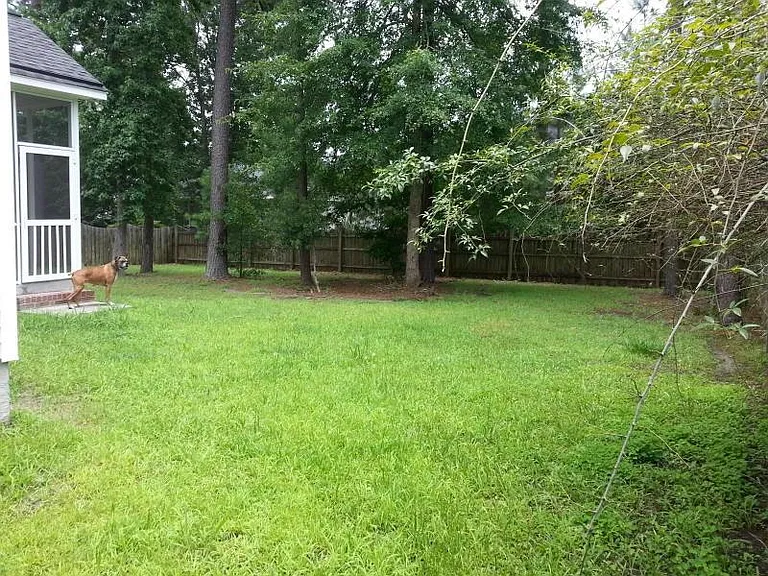 106 Horseshoe Bay Ct — Photo 15