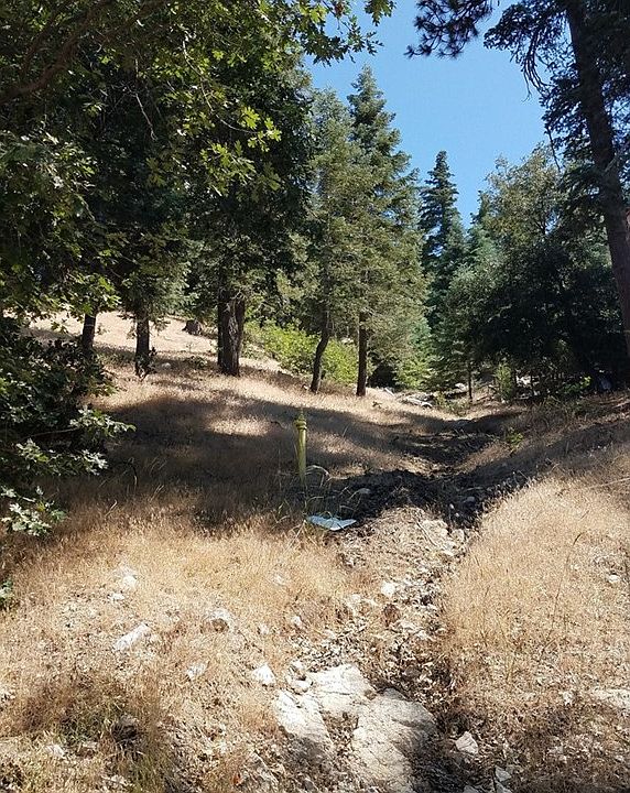 1st image of 1395 Evergreen Ln
