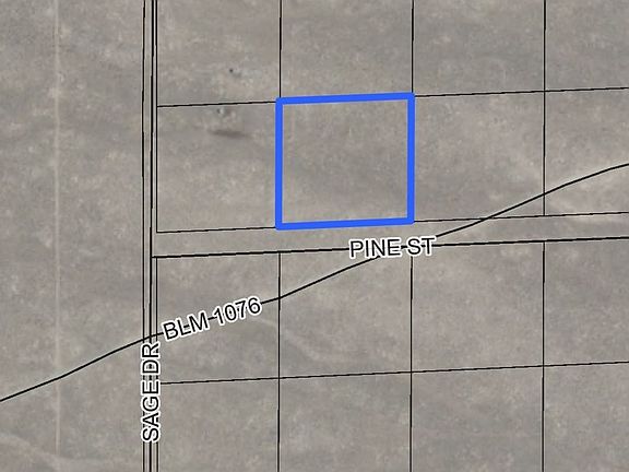 5th image of Pine St