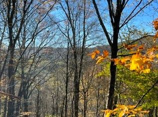 LOT 149.20 Delaware Ave #2, Delhi, NY 13753