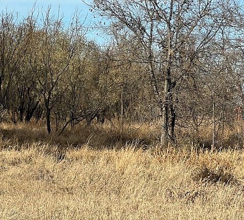 5th image of 0 County Road 4156