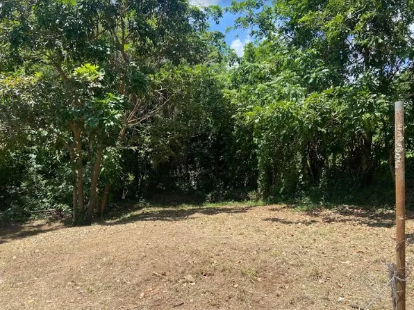 State Route 3 Km #121, Patillas, PR 00723