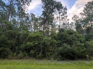 1411 Elder St Lot 26, Bunnell, FL 32110