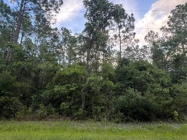 1411 Elder St Lot 26, Bunnell, FL 32110