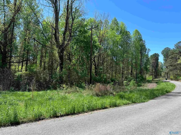 County Road 842, Cullman, AL 35057