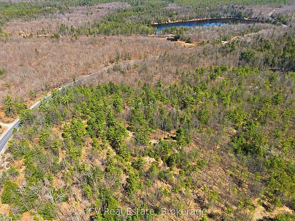 3rd image of 1671 Muskoka Rd #38