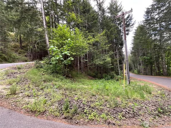 1 N Colony Surf Drive, Lilliwaup, WA 98555