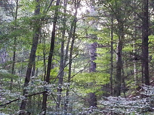 1st image of 150-250 Pressmens Home Rd