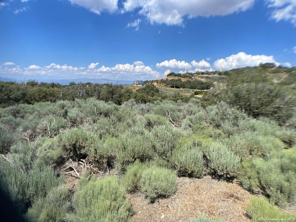 2nd image of 24251 Jacaranda Dr