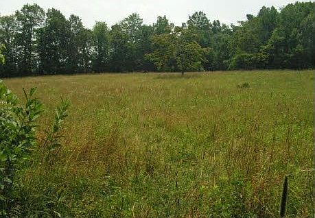 hay field
