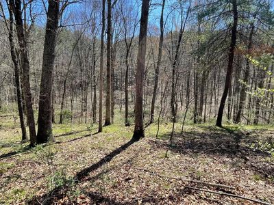 642 Tearcoat Rd, Augusta, WV, 26704