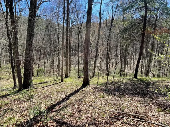 642 Tearcoat Rd, Augusta, WV 26704