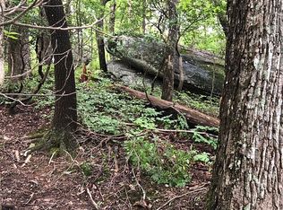 61A Cheestoonaya Way, Brevard, NC 28712