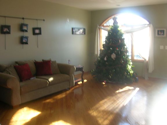 Living room - hardwood floors throughout