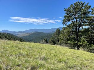 98 Wisp Ln #1, Bailey, CO 80421