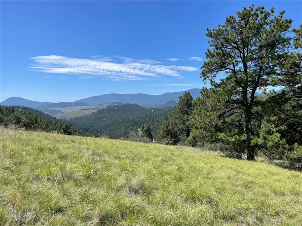 98 Wisp Lane LOT 1, Bailey, CO 80421