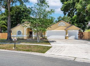 2221 Glen Mist Dr, Valrico, FL 33594