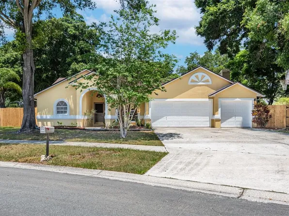2221 Glen Mist Dr, Valrico, FL 33594