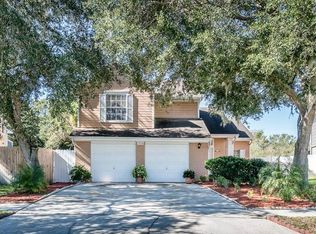 11830 Branch Mooring Dr, Tampa, FL 33635