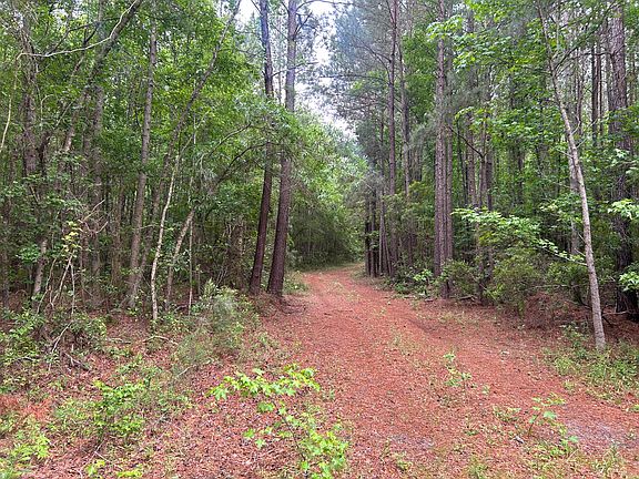 5th image of 0 Pineview Farm Rd