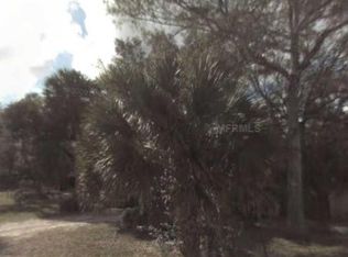 464 Buckshot Ave, Osteen, FL 32764