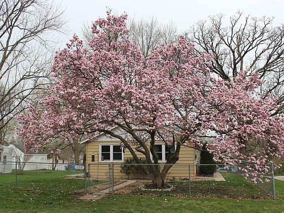 2nd image of 334 N Prospect Dr