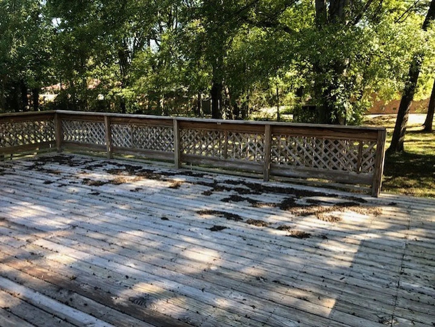 102 Tanglewood Cir — Photo 3