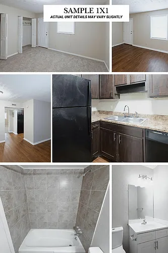 Floor plan 1 Bedroom 1 Bathroom