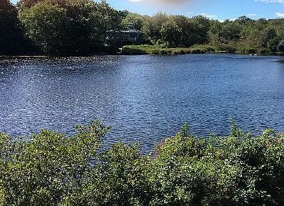 1st image of 43 Teal Dr