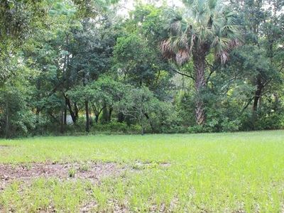 N Daniels St, Oakland, FL, 34760