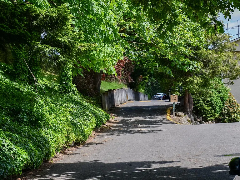 Greentree — Photo 35