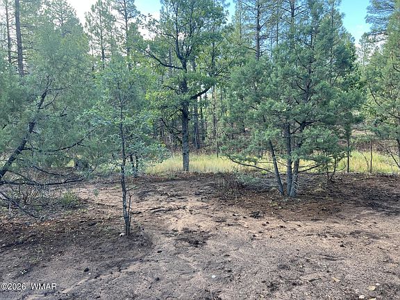 4th image of 4161 Wild Iris Ln