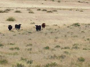 200 Acres Hwy #39, Logan, NM 88426