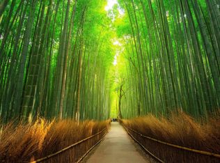 1 Martling Gap Rd, Albertville, AL 35951