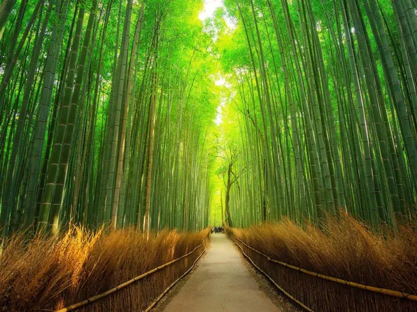 1 Martling Gap Rd, Albertville, AL 35951