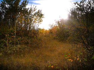 1068 Cirque Ct, Driggs, ID 83422