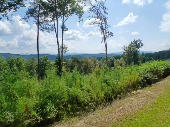 LOT 23 Mountain Laurel Dr, Mineral Bluff, GA 30559