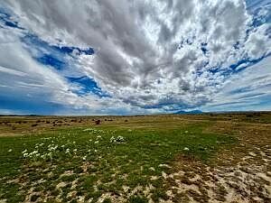 5th image of 255 Colorado Land Livestock
