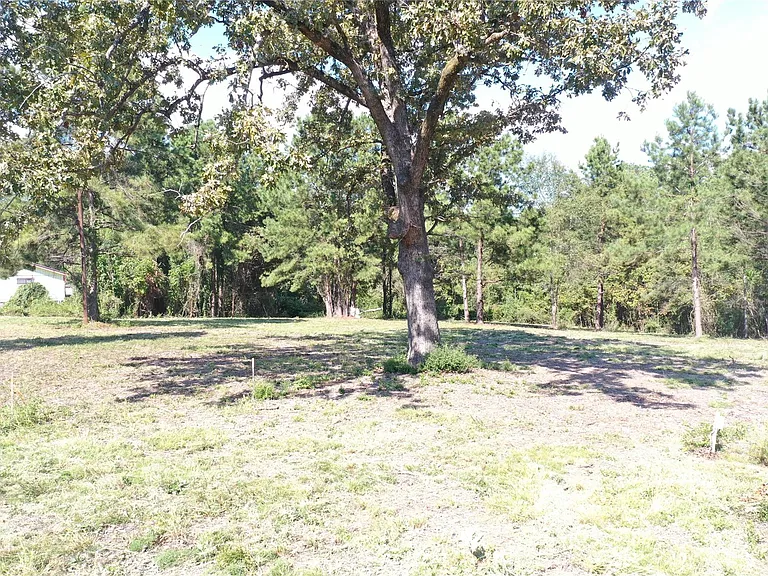 185 S FM 356 W — Photo 18