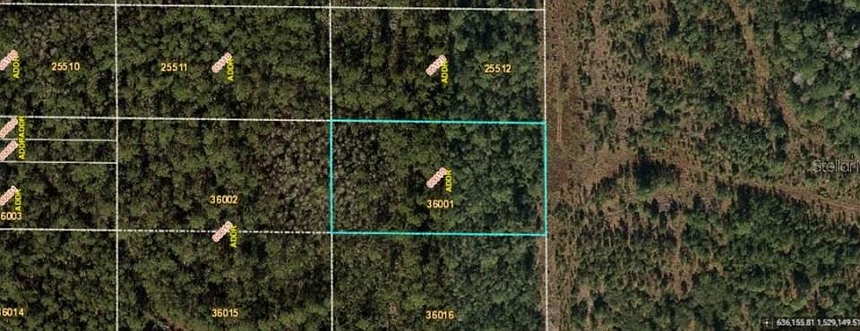 2nd image of E Colonial Dr #10