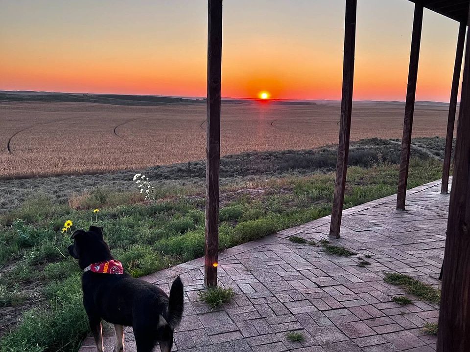 42750 County Road T, Eckley, CO 80727 MLS 11205821 Zillow