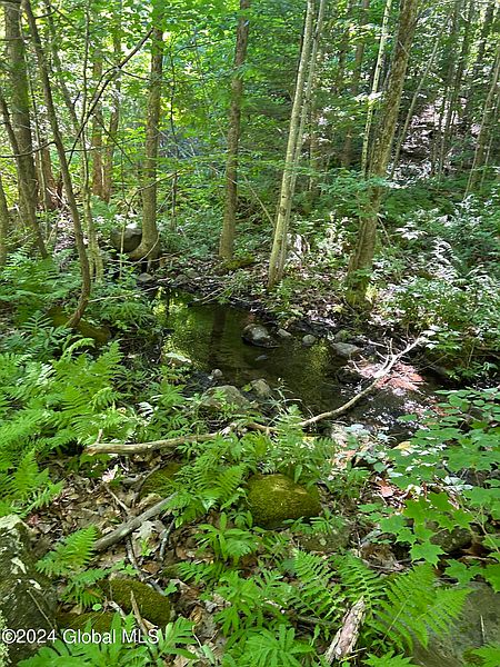 5th image of 557 Warner Hill Road