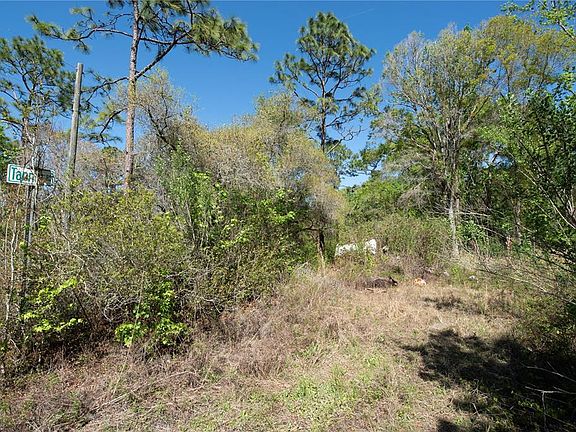 3rd image of 12934 Tanner Rd Lot 19