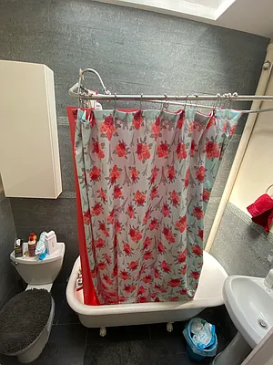 Rented by Peace of Mind Realty | media 25