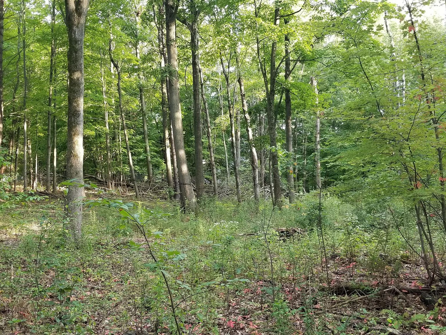 292 W Sand Lake Road, Wynantskill, NY 12198 Zillow
