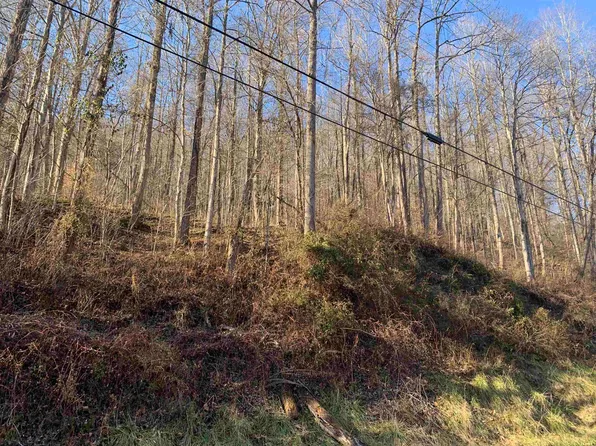 0 S Highway 3, Louisa, KY 41230