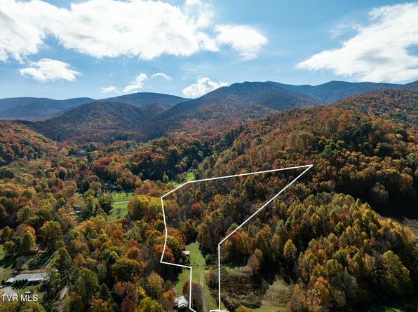 140 Doe Ln, Roan Mountain, TN 37687